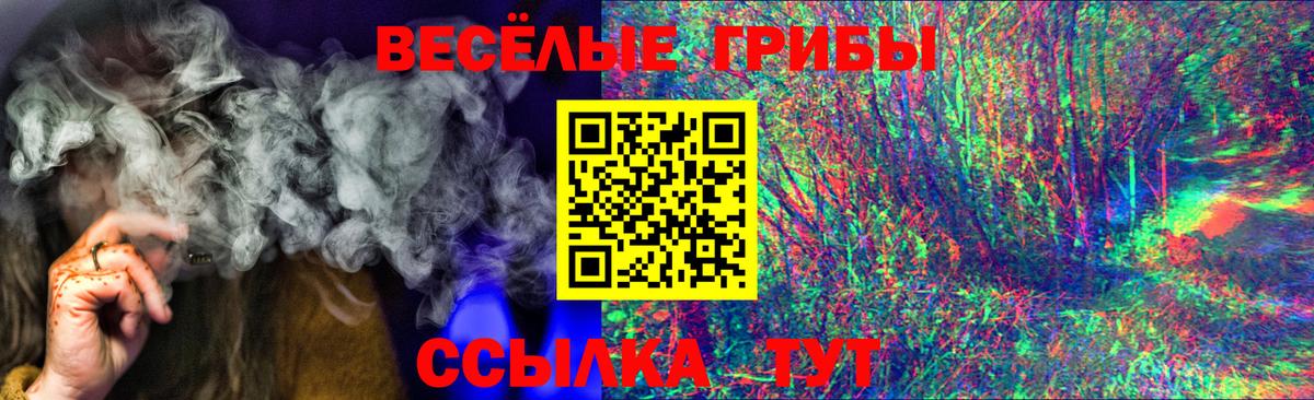 Ковров  Псилоцибиновые грибы прущие грибы  Вход с VPN 